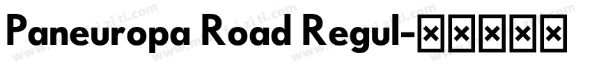 Paneuropa Road Regul字体转换